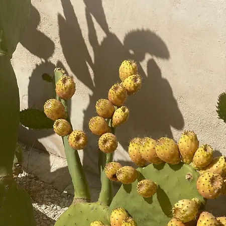 Ballium Luxury Relais Avola