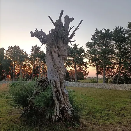 Ballium Luxury Relais Bauernhof